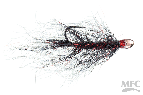 MFC Chan's Balanced Ruby-Eyed Leech