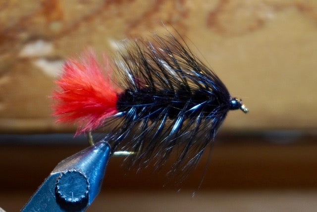 Wooly Worm Bugger- Black/Black W/ Red Tail