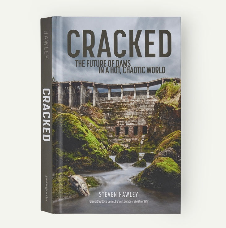 Cracked: The Future of Dams in a Hot, Chaotic World (by Steven Hawley)