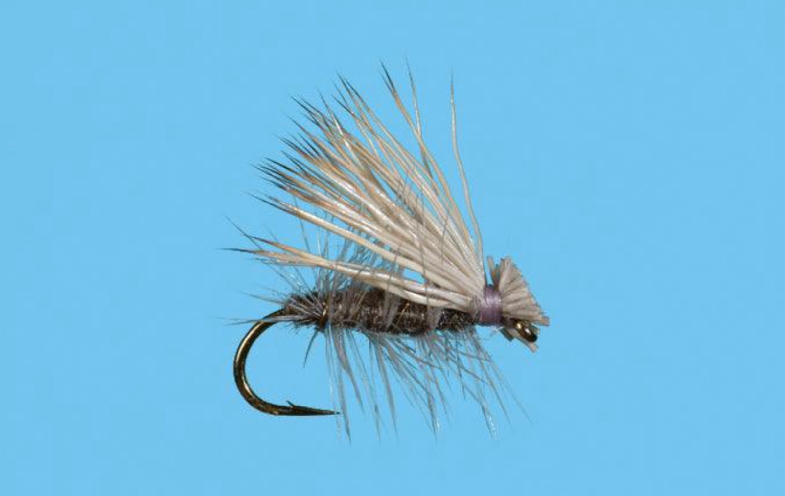Solitude Elk Hair Caddis