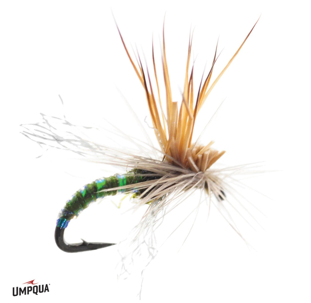 Umpqua Mercer's Missing Link