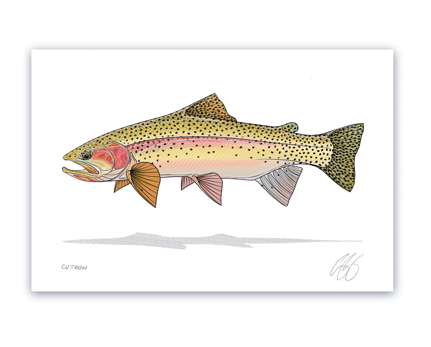 Casey Underwood Prints (8x12")