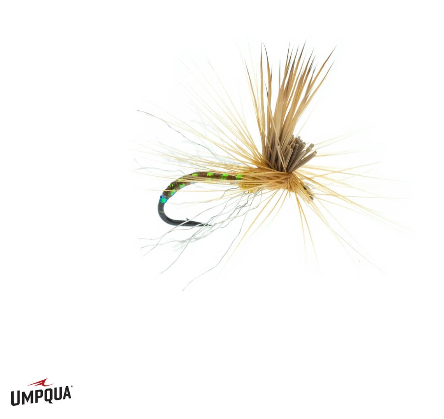 Umpqua Mercer's Missing Link