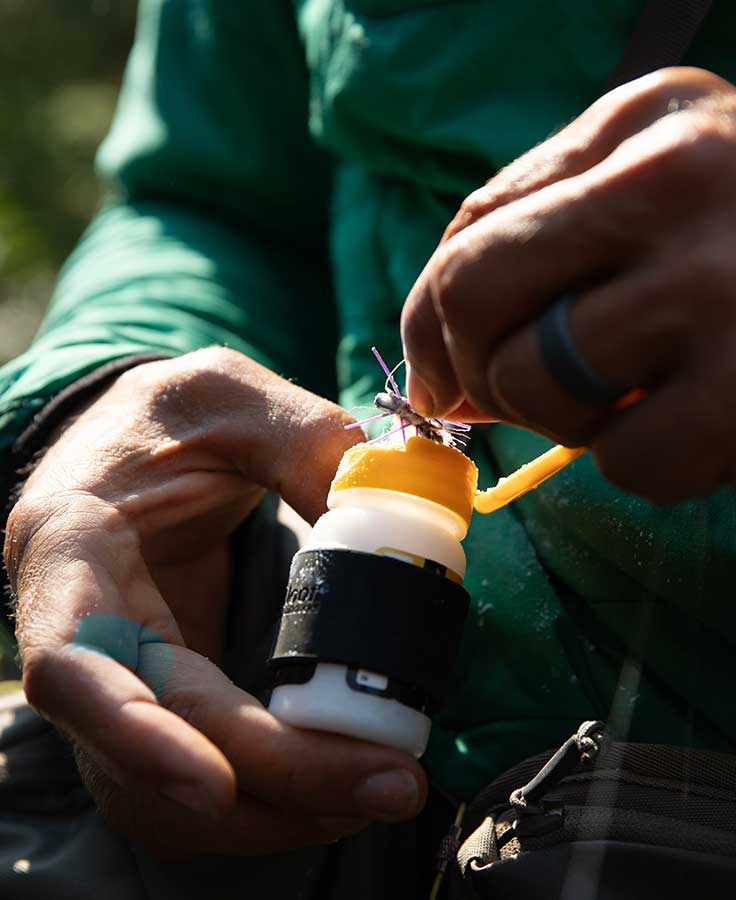 Loon Silicone Medium Caddy