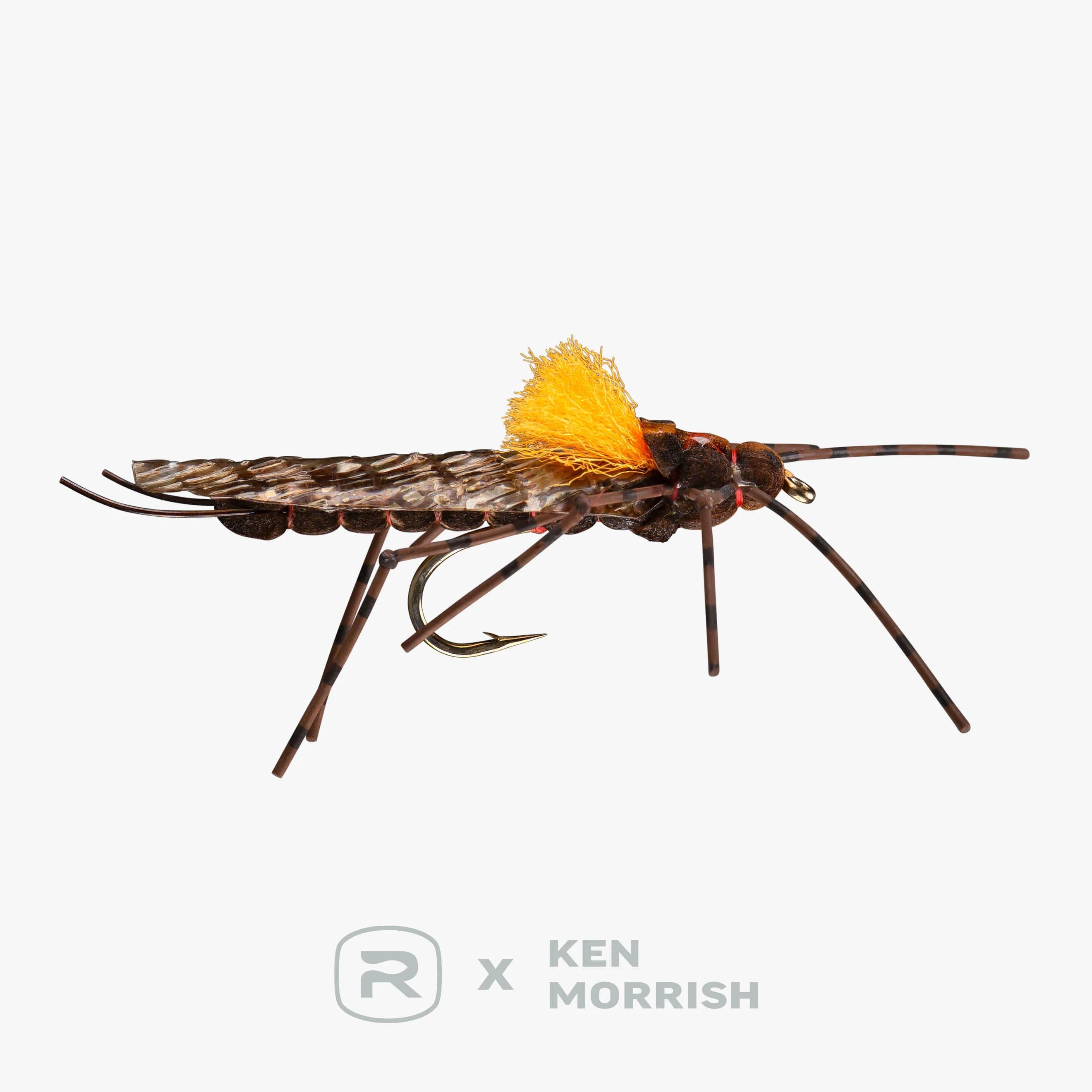 RIO's Morrish Still Stone