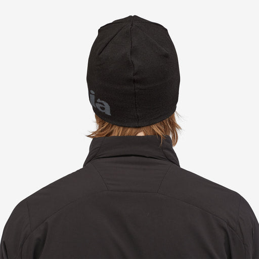 Patagonia Mens Beanie Hat